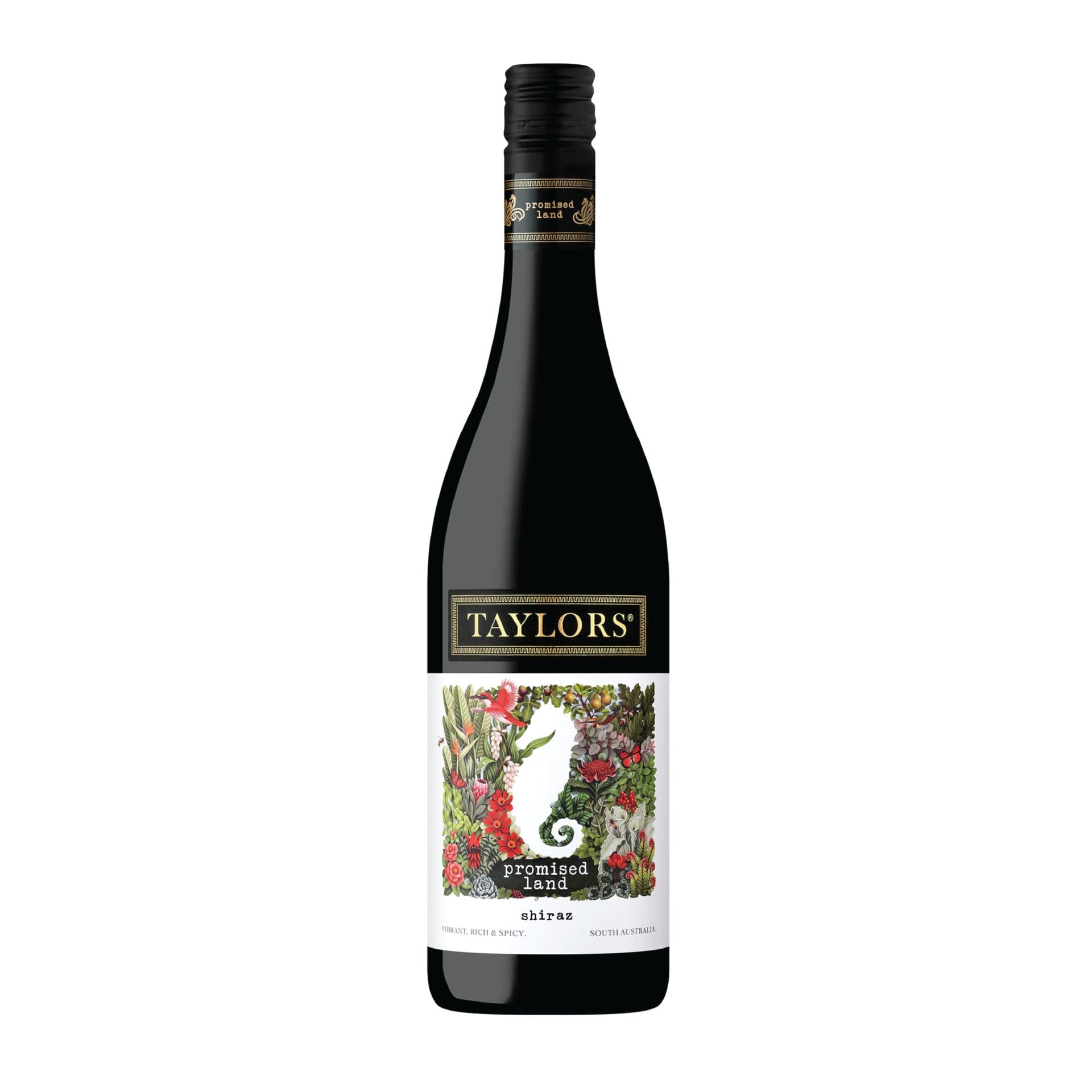 Taylors Promised Land Shiraz | S Liquor