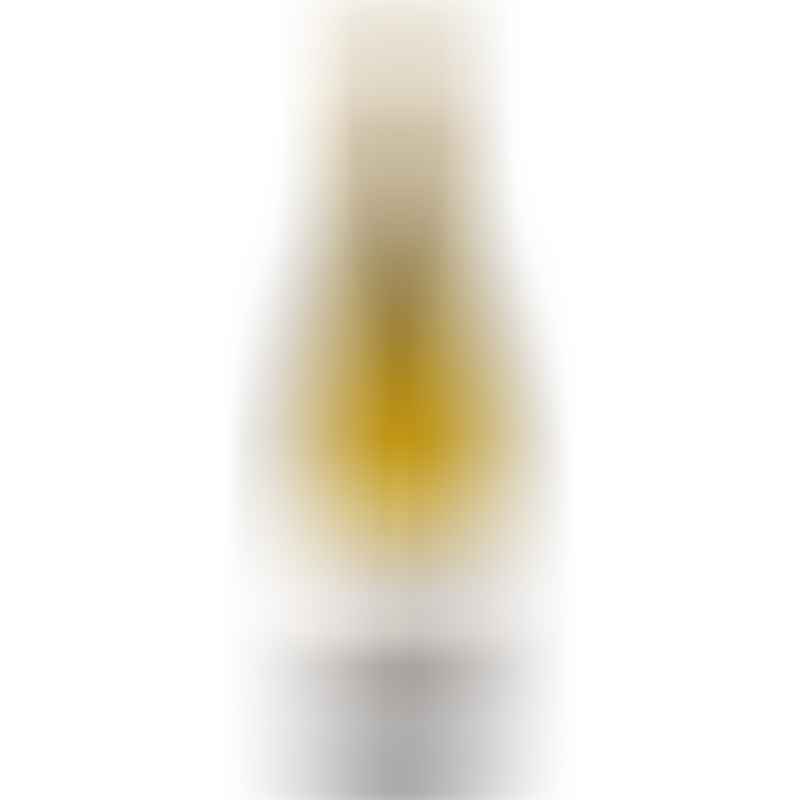 Delas Vin De Pays D Oc Blanc Viognier 750ml - S Liquor